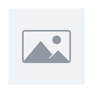 Festa Major Petita de Sant Nicolau a Canyelles