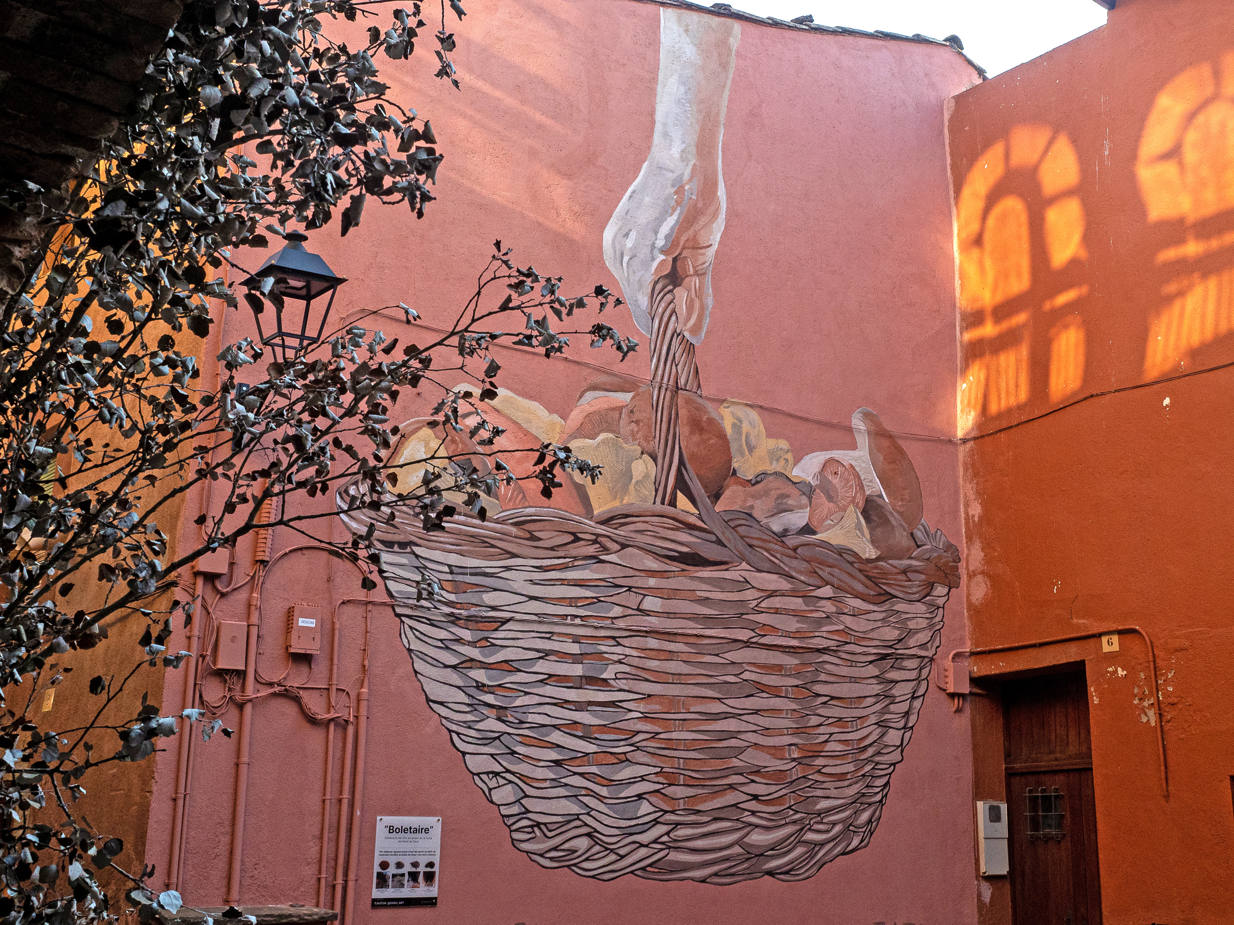 Festa del Bolet de Seva