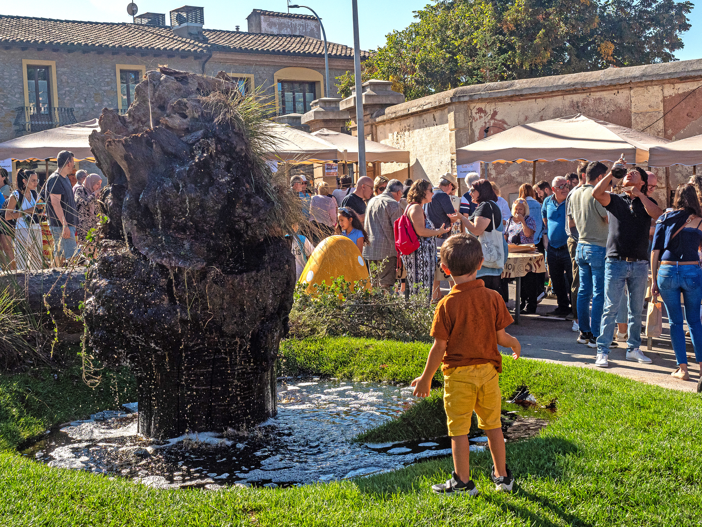Festa del Bolet de Seva