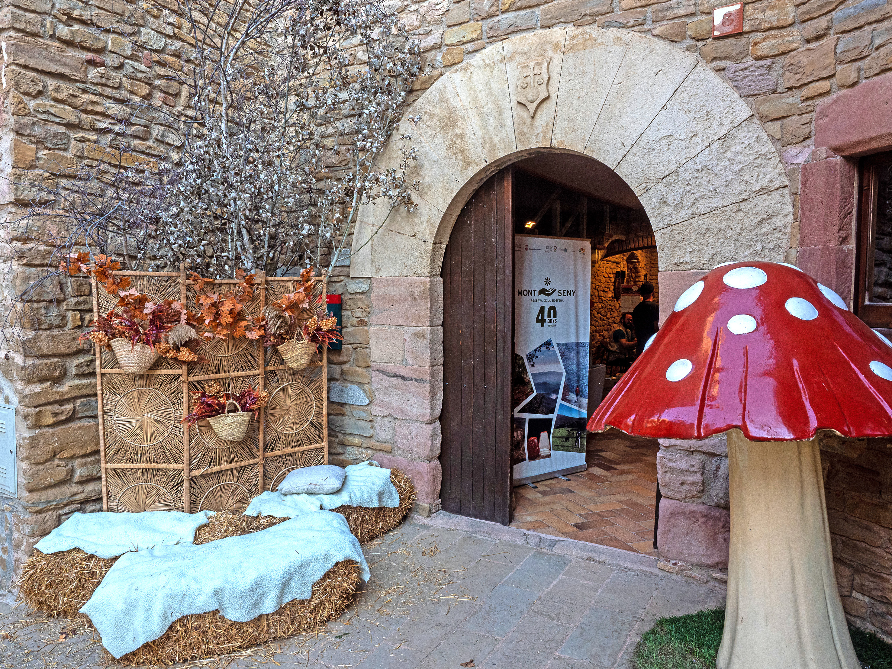 Festa del Bolet de Seva