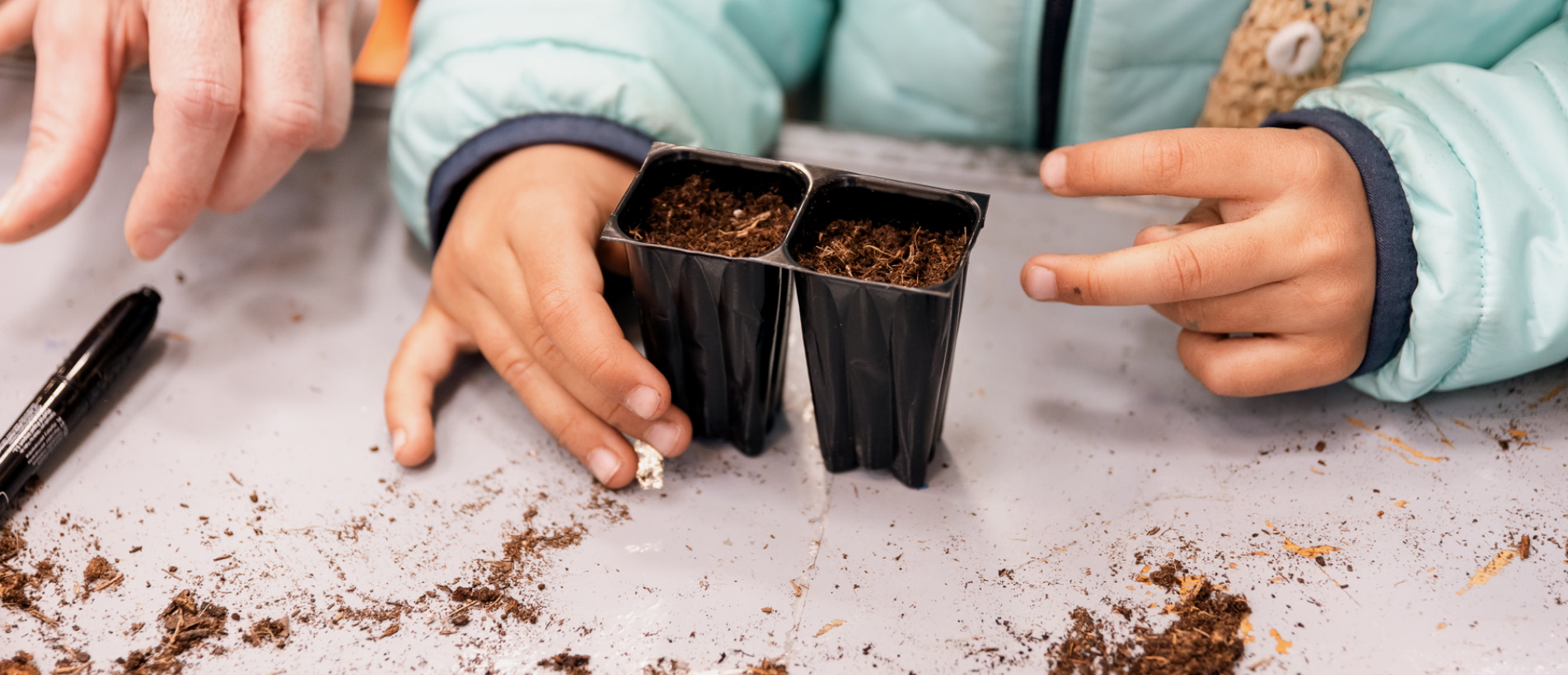 Mercat del Ram de Vic