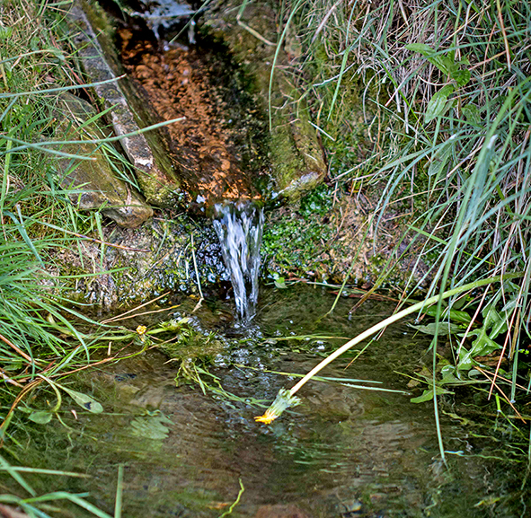 Font de Llobarteres o de la Teula de Seva