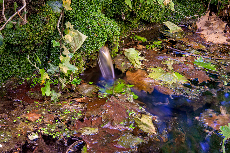 Font de Montmany de Seva