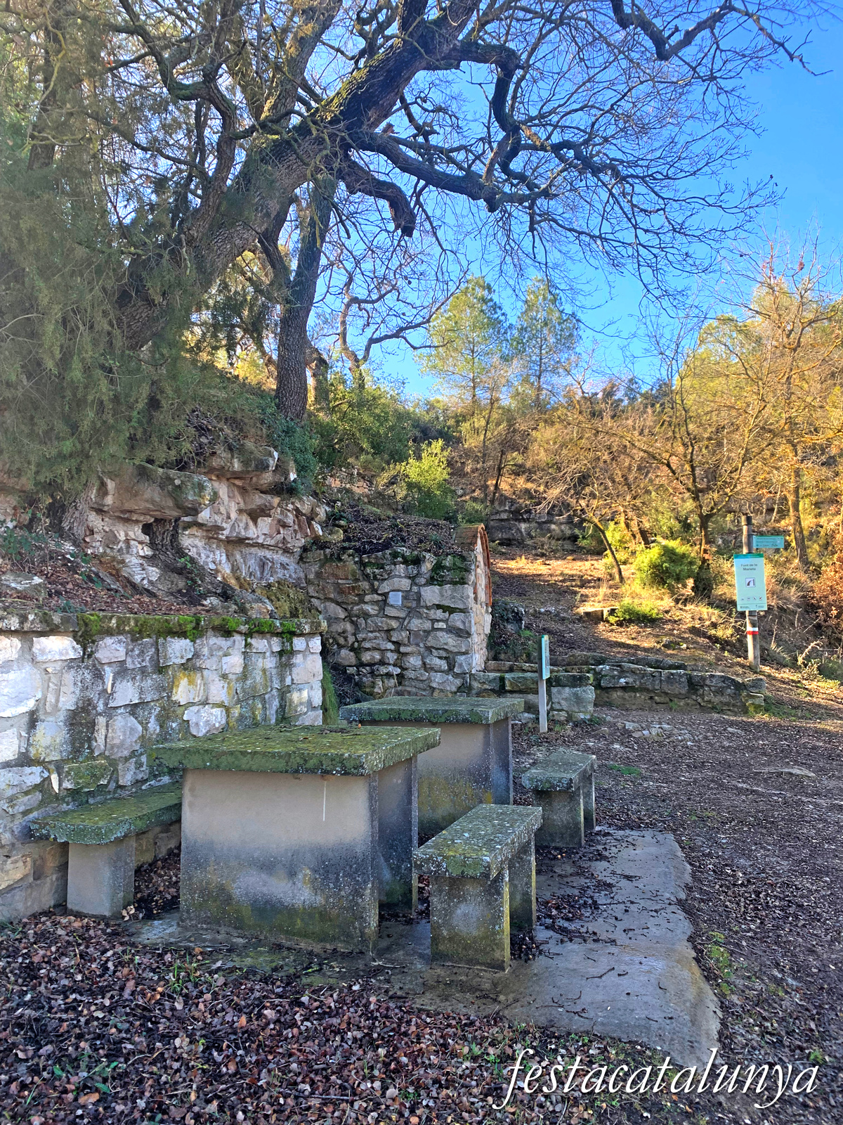 Fulleda - Font de la Marieta