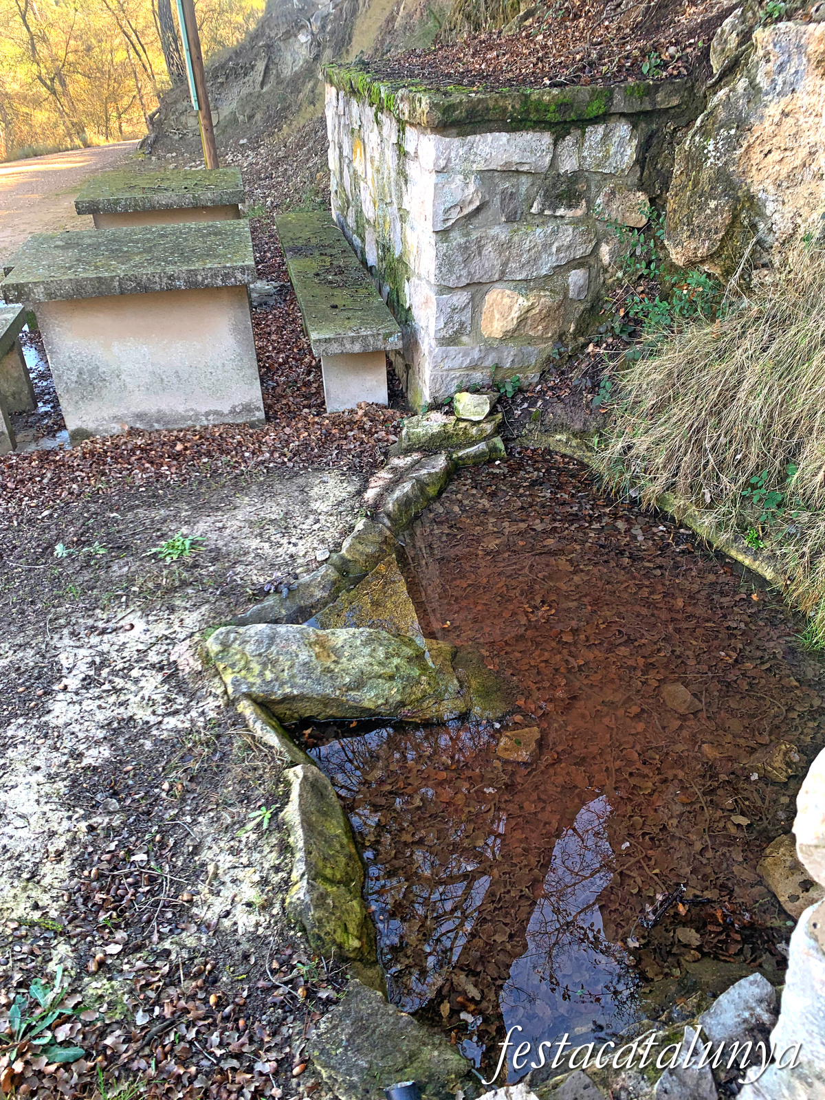 Fulleda - Font de la Marieta