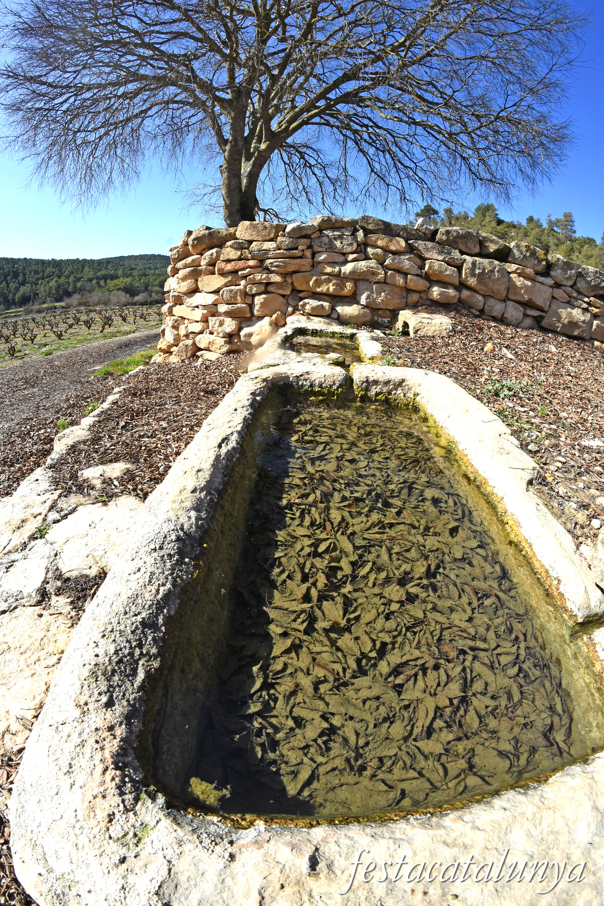 Fulleda - Font de les Ventoses