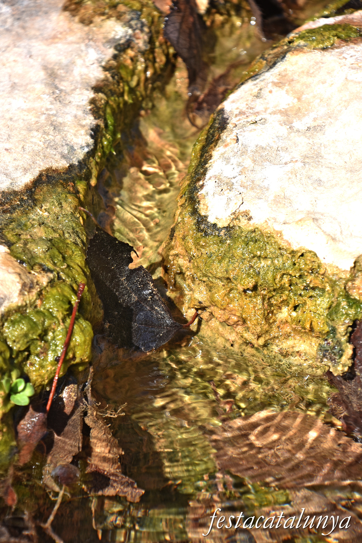 Fulleda - Font de les Ventoses 