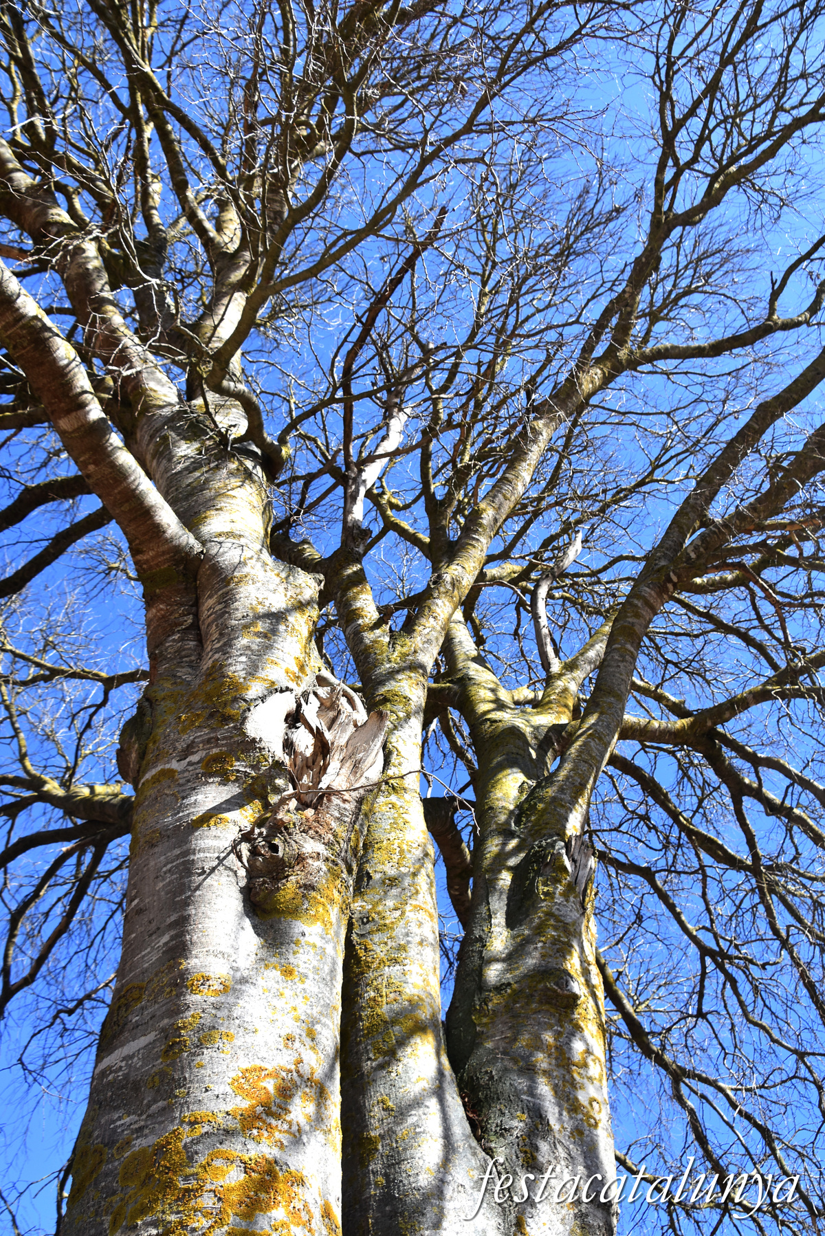 Fulleda - Font de les Ventoses