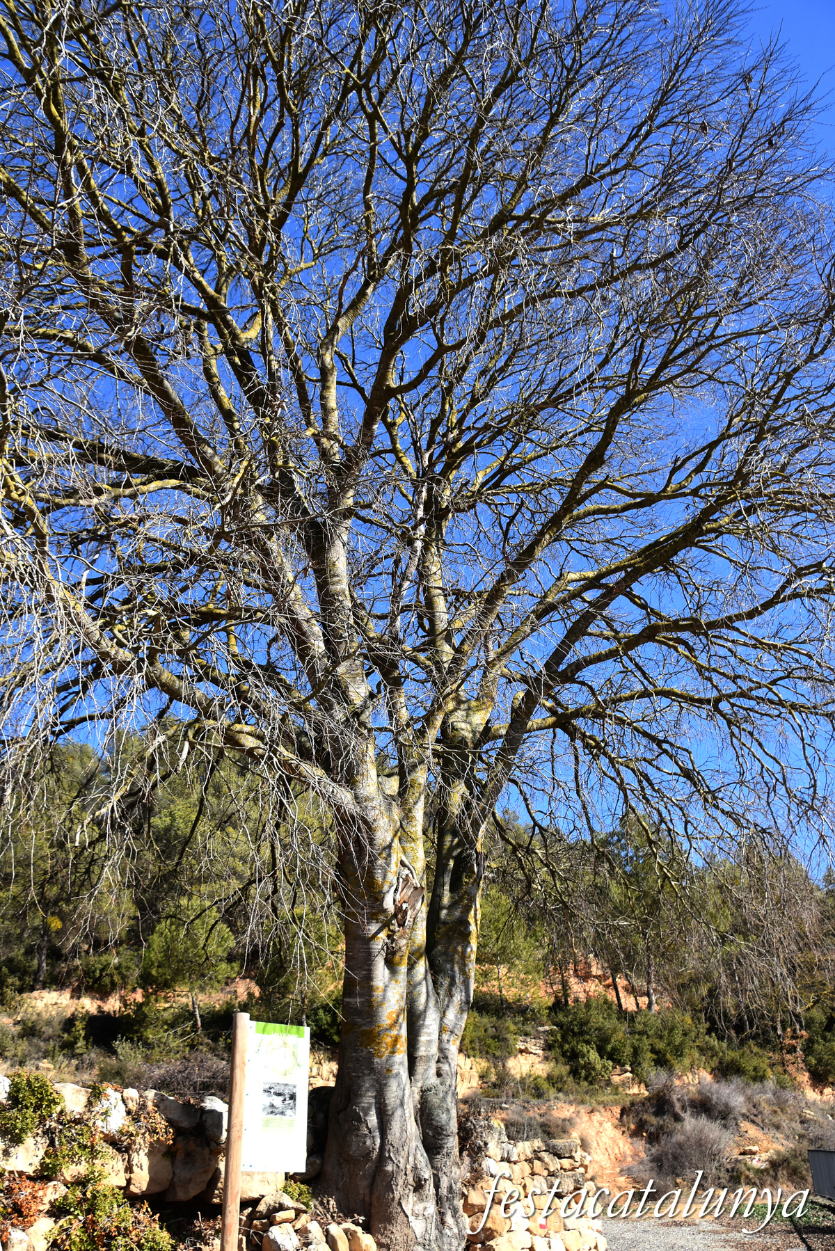Fulleda - Font de les Ventoses 