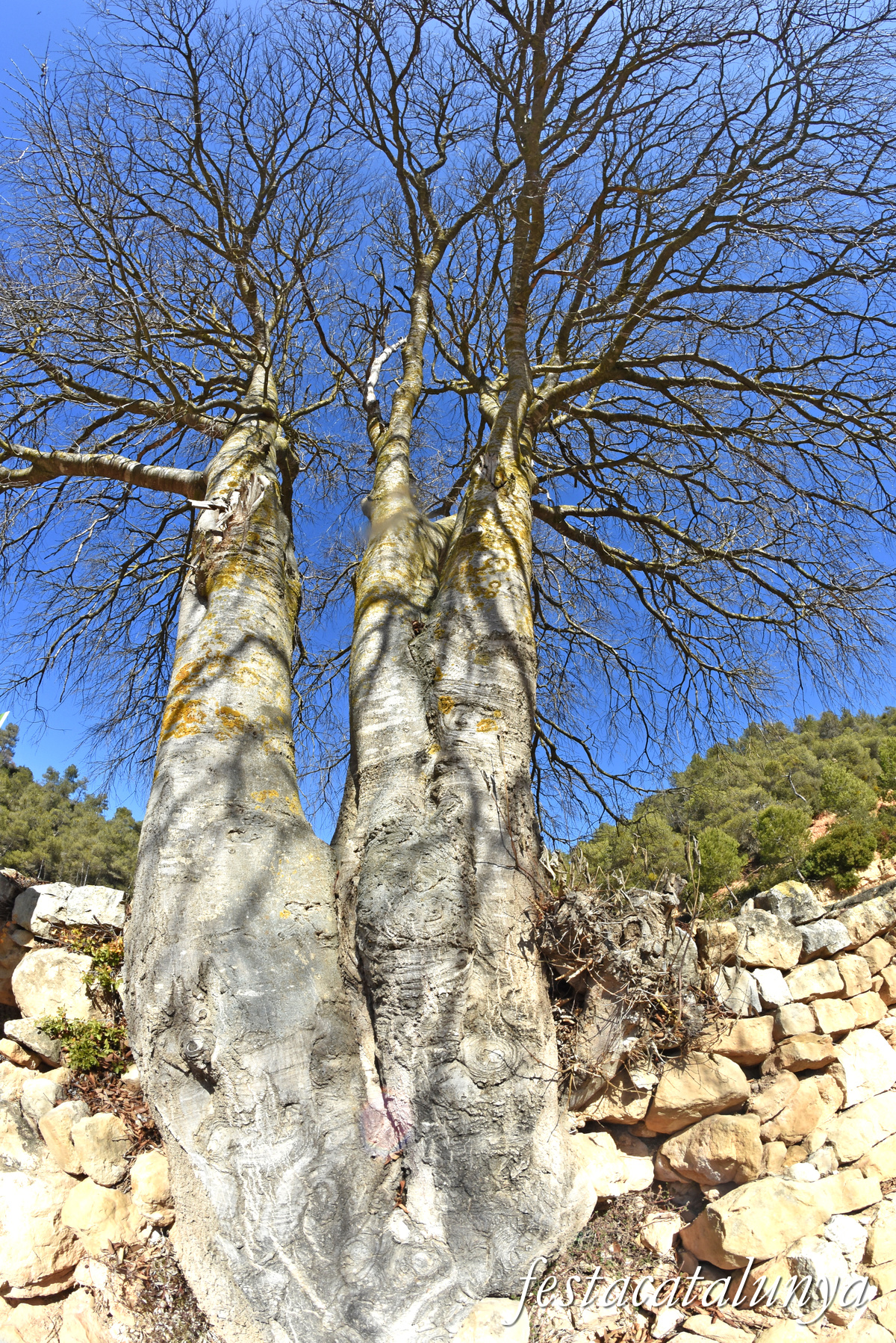 Fulleda - Font de les Ventoses 