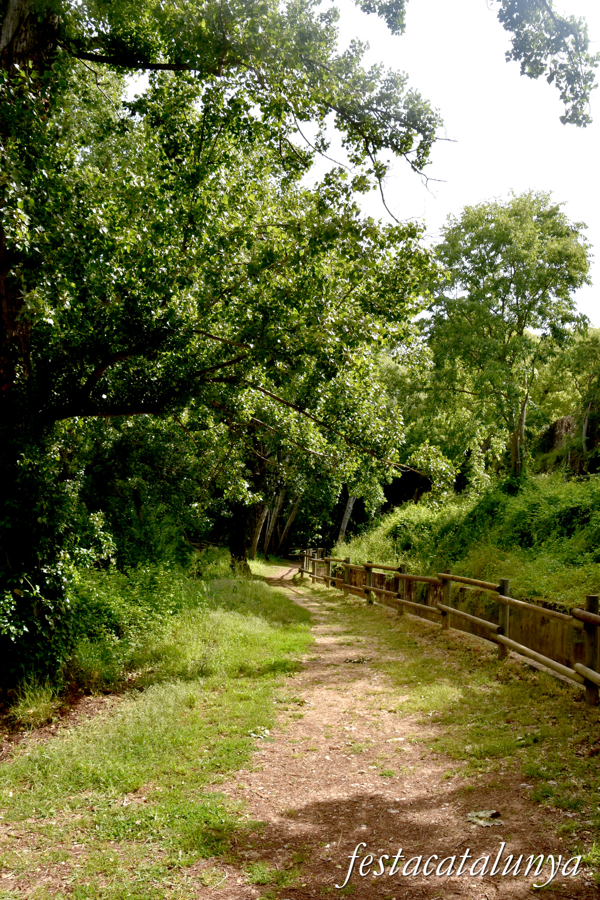 Aiguamúrcia - Albereda de Santes Creus