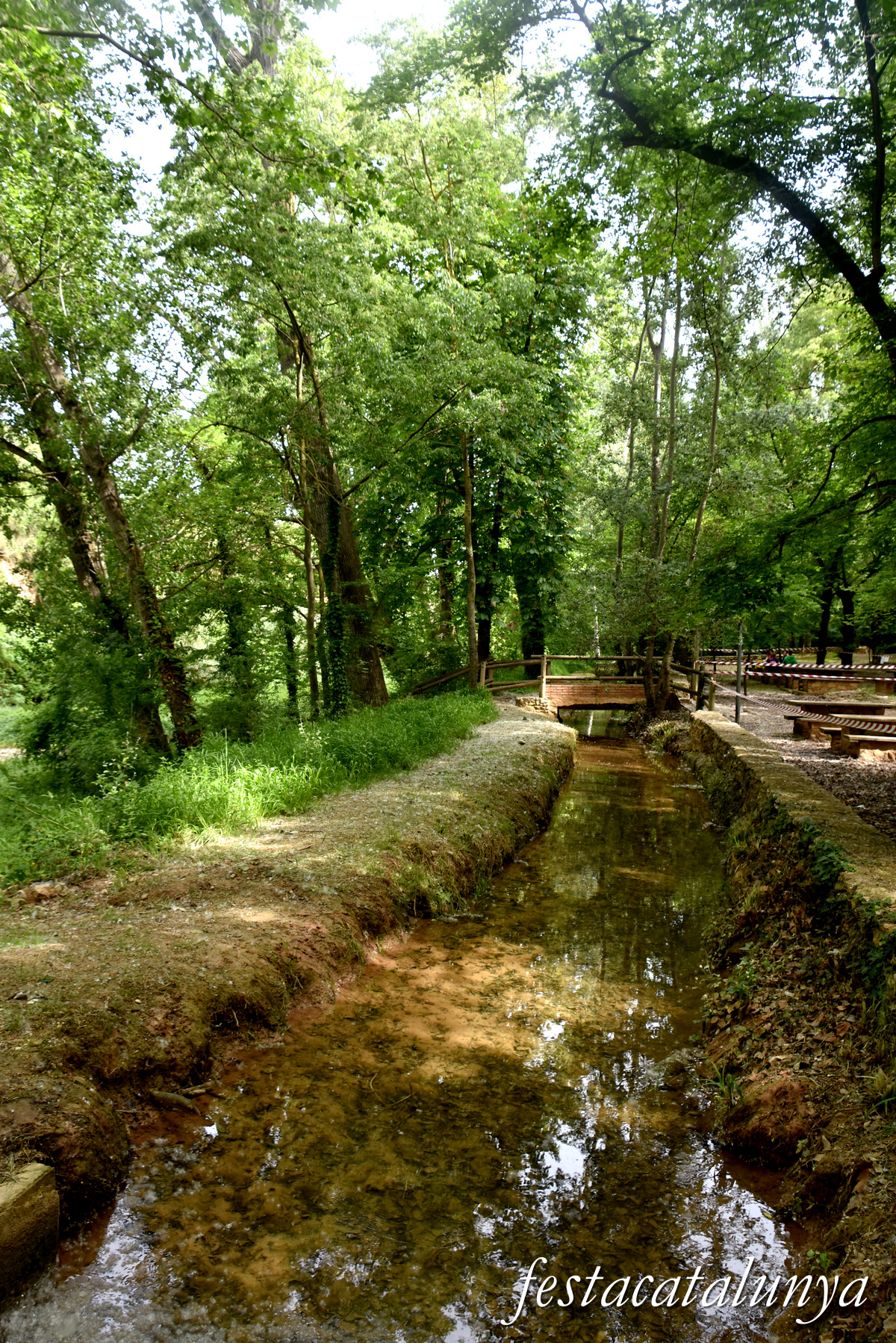 Aiguamúrcia - Albereda de Santes Creus