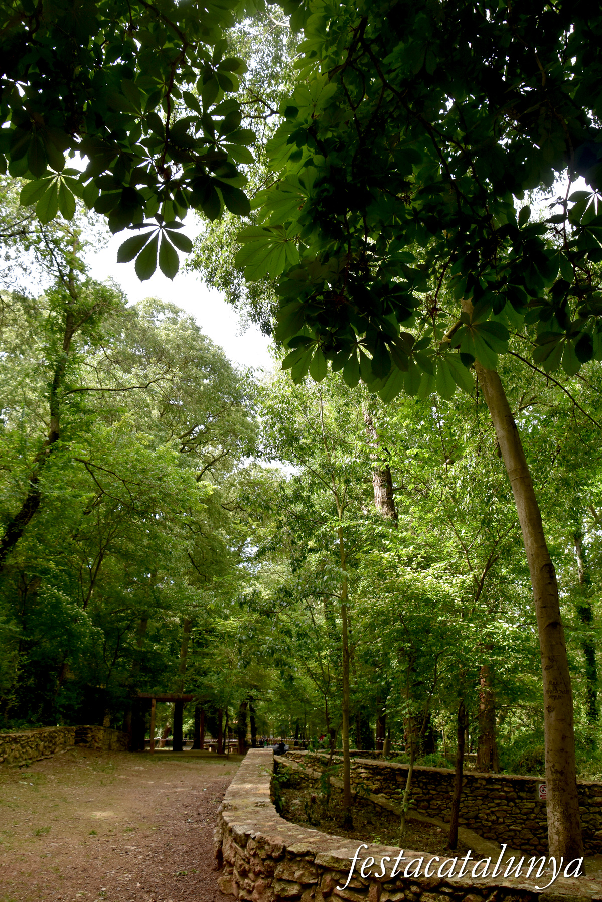 Aiguamúrcia - Albereda de Santes Creus 