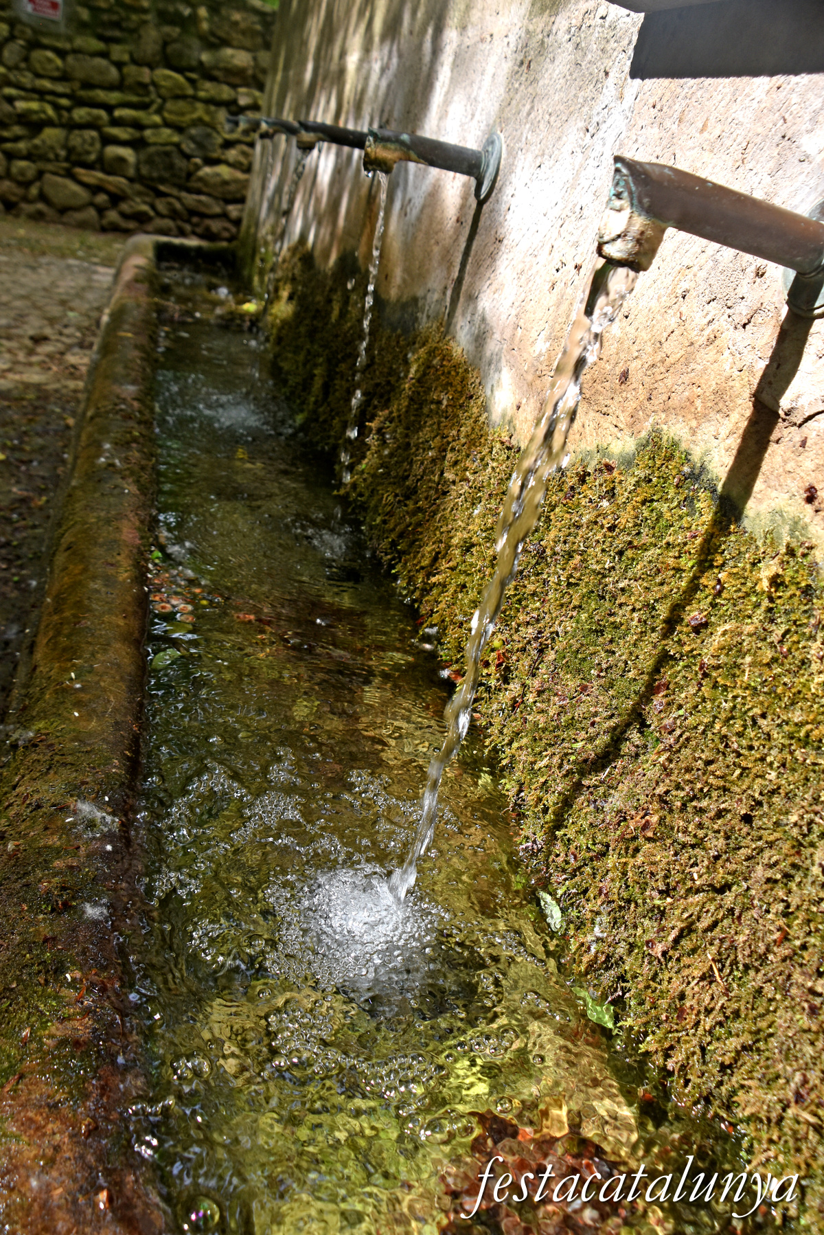 Aiguamúrcia - Albereda de Santes Creus - Sis Fonts 
