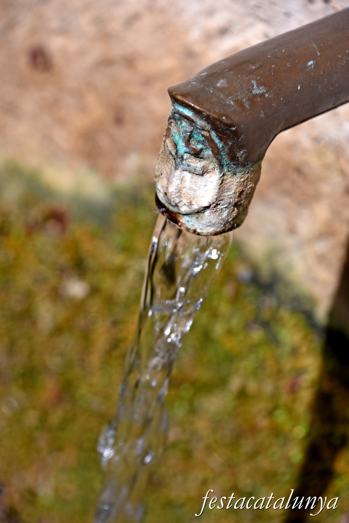 Aiguamúrcia - Albereda de Santes Creus - Sis Fonts 