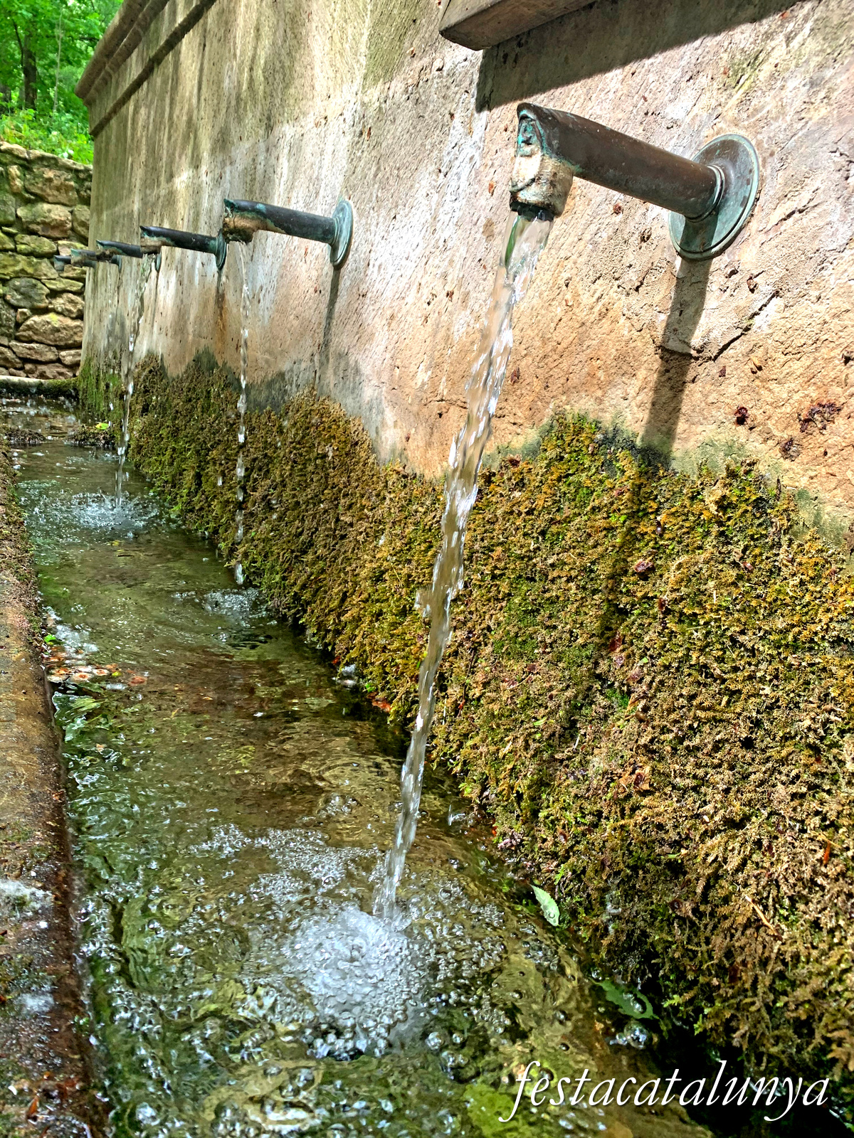 Aiguamúrcia - Albereda de Santes Creus - Sis Fonts 