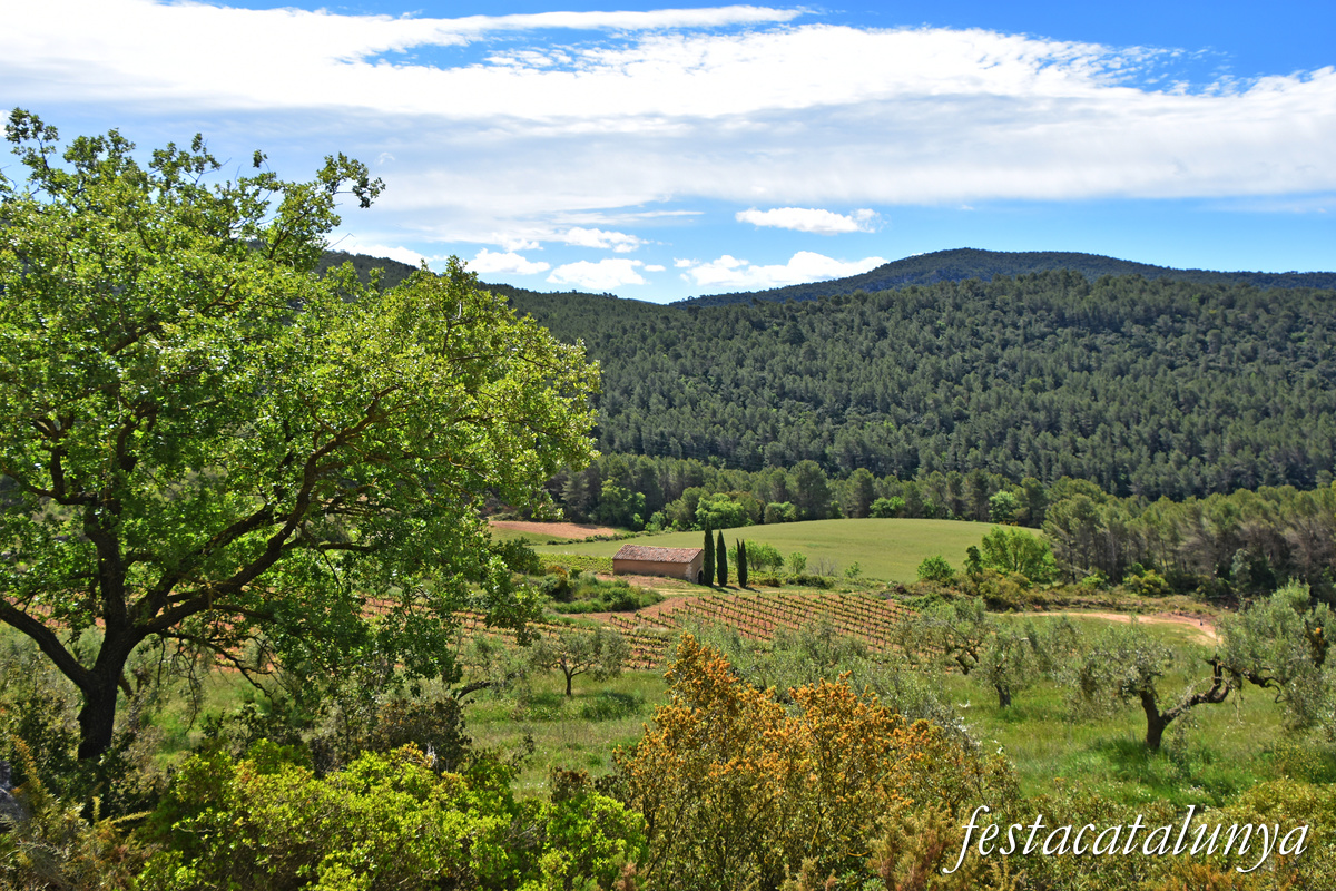 Aiguamurcia - Capella de Santa Agnès