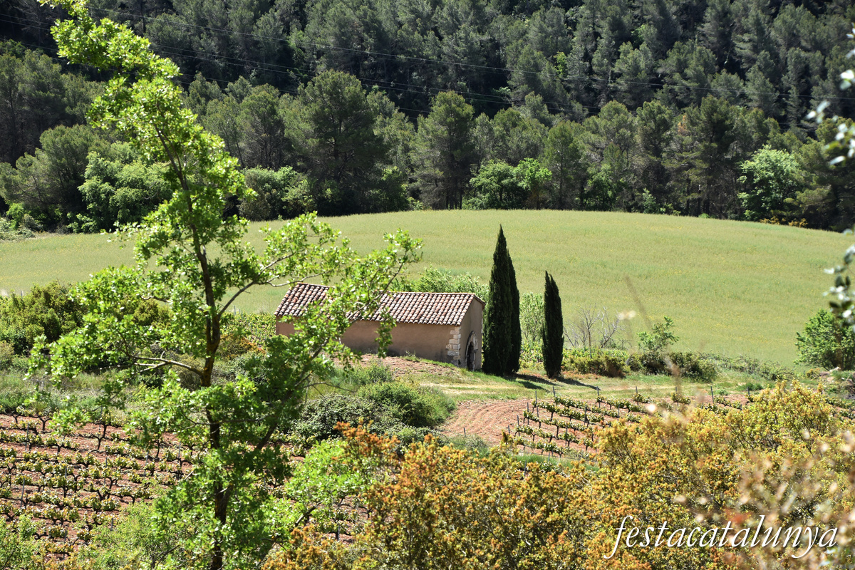 Aiguamurcia - Capella de Santa Agnès 