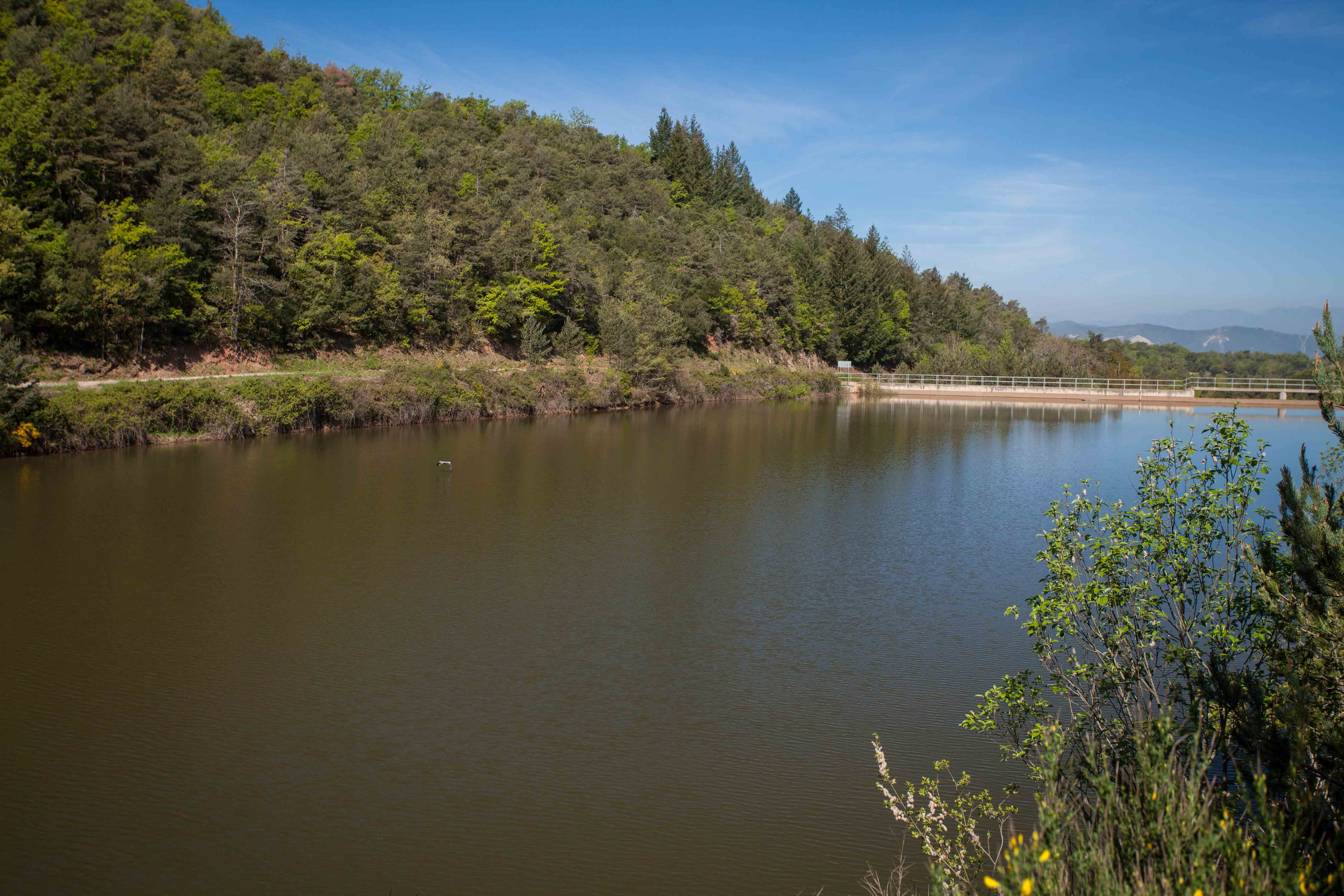 Seva - Pantà (Foto: Ajuntament)