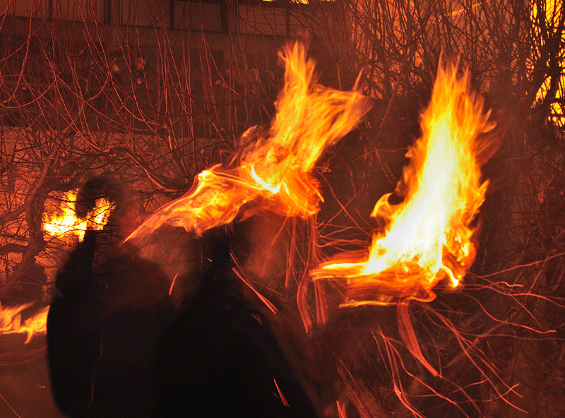 Festa de la Fia-Faia de Bagà