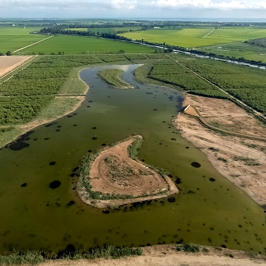 Finca d'El Violí de Sant Jaume d'Enveja ***