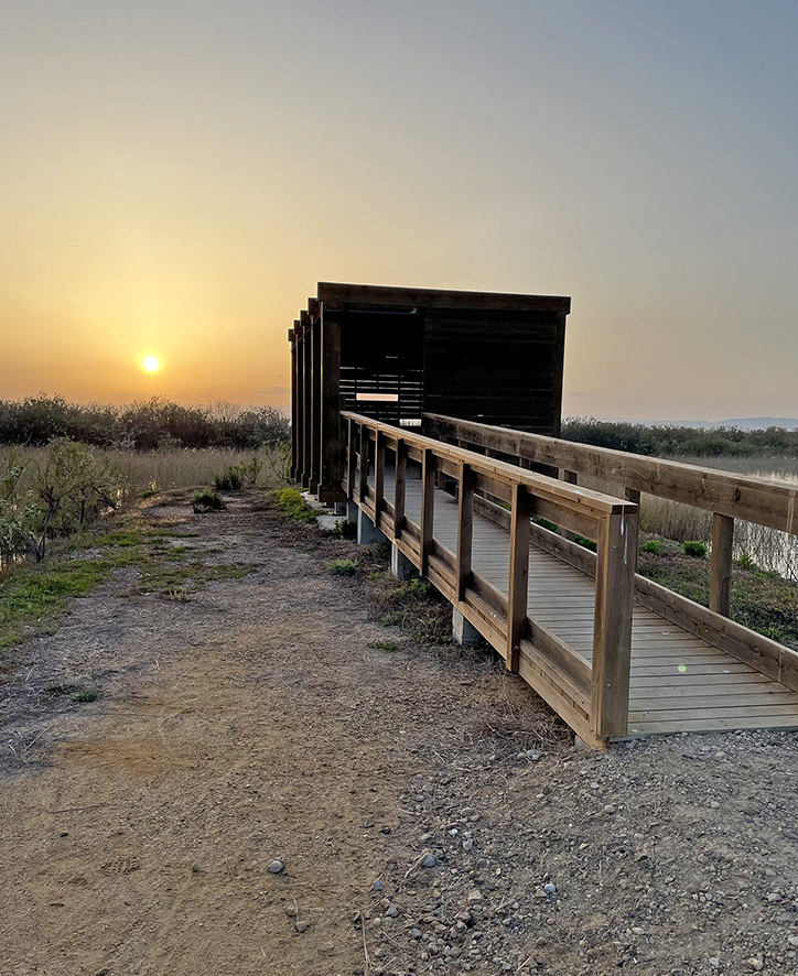Sant Jaume d'Enveja - Finca del Violí (Foto: Turisme de Sant Jaume)