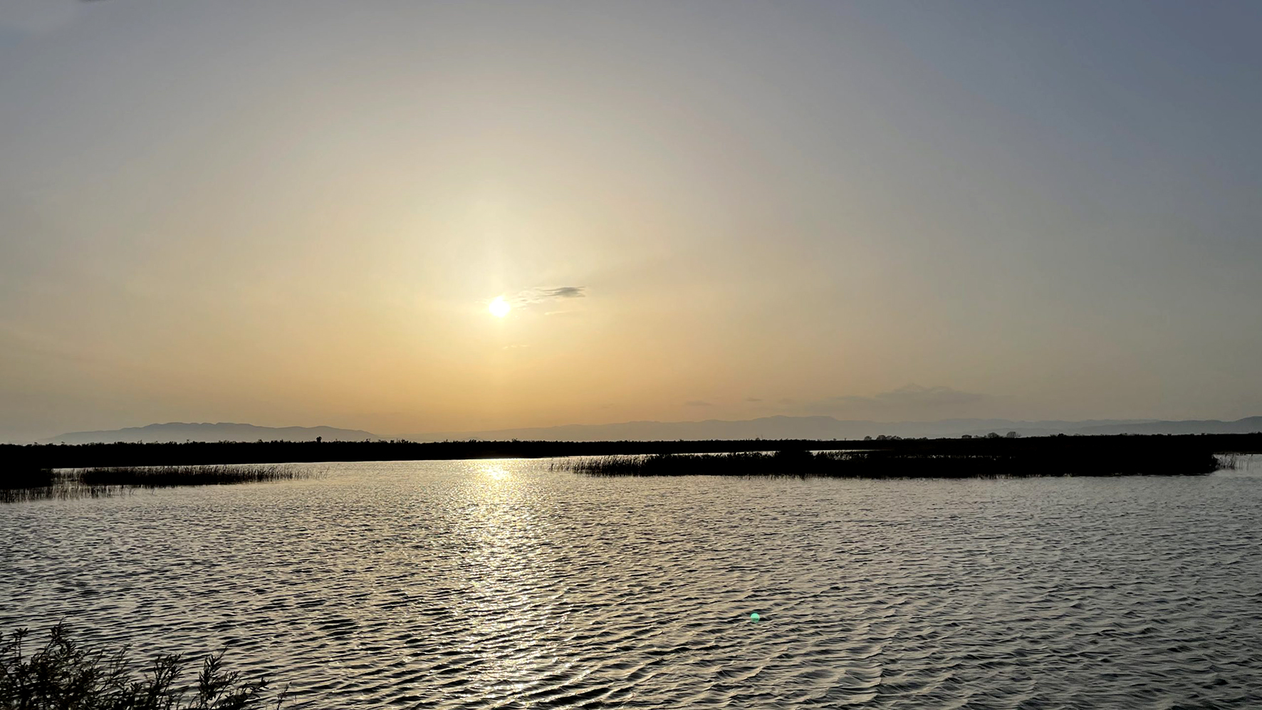 Sant Jaume d'Enveja - Finca del Violí (Foto: Turisme de Sant Jaume)