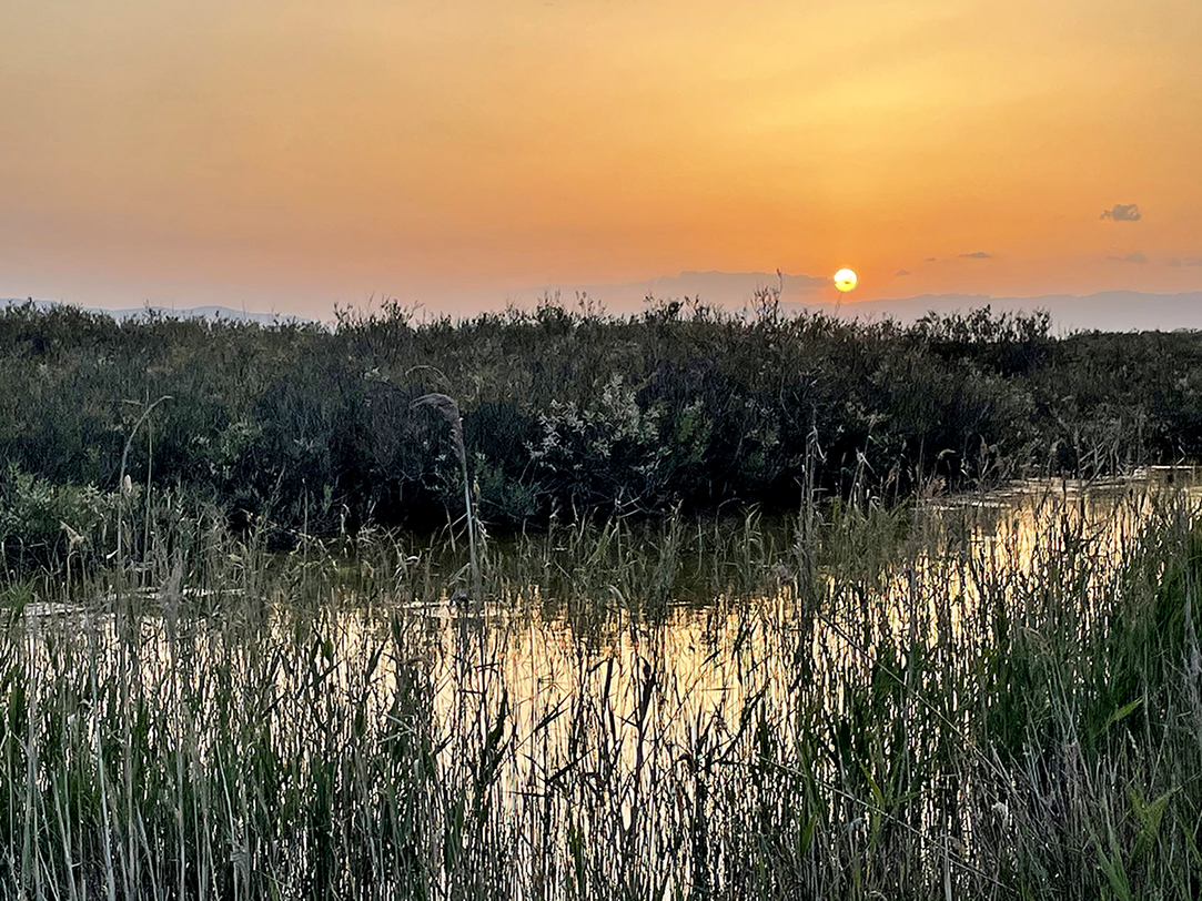 Sant Jaume d'Enveja - Finca del Violí (Foto: Turisme de Sant Jaume)