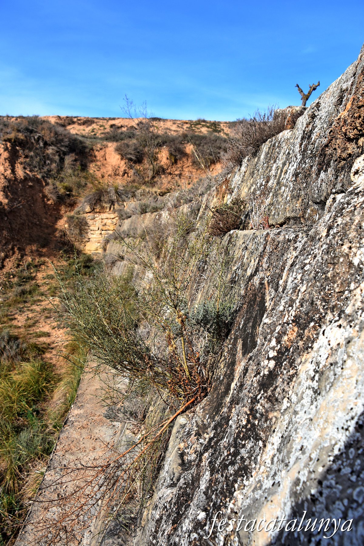 Sarral - Presa romana o resclosa de la Salada