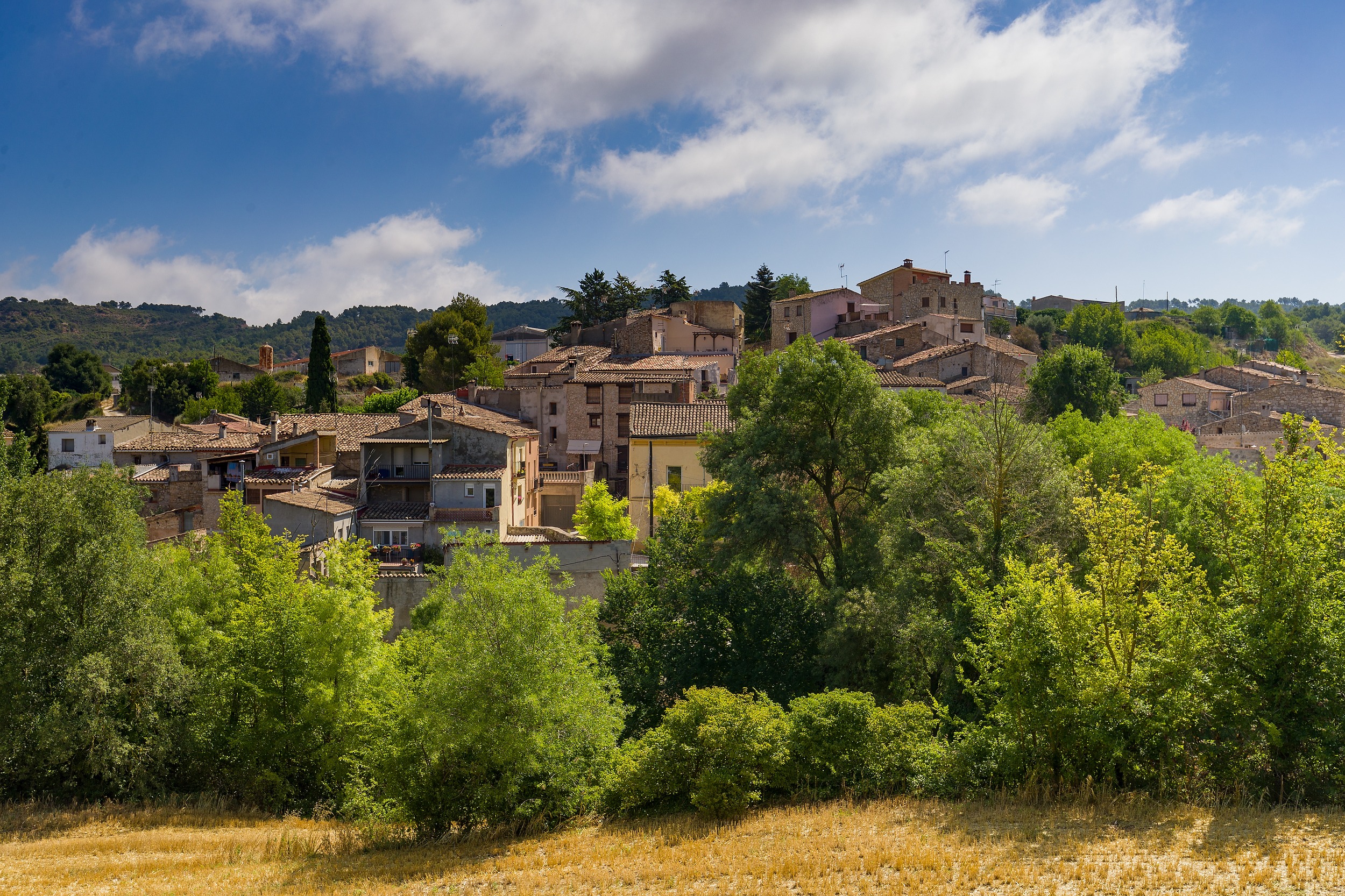 Sarral - Vallverd de Queralt (Foto: Ajuntament)