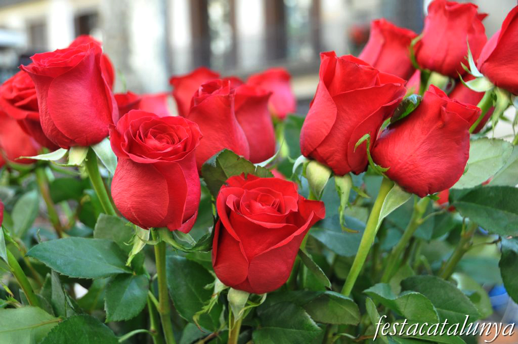 Sant Jordi a Barcelona