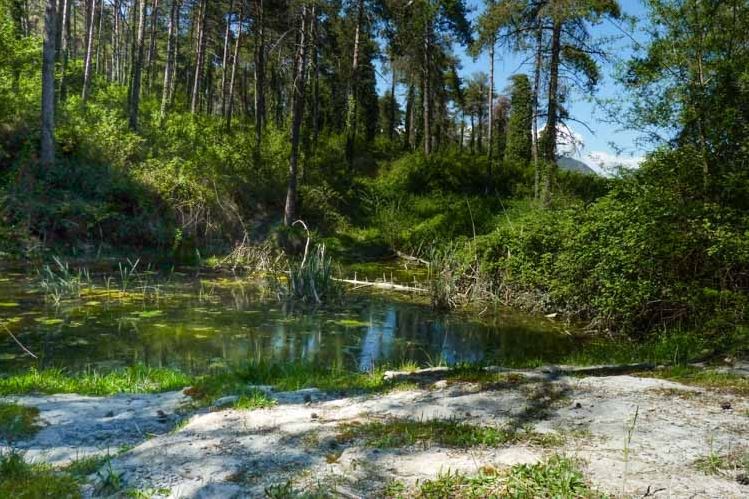 Rutes de Senderisme i BTT a les Masies de Voltregà