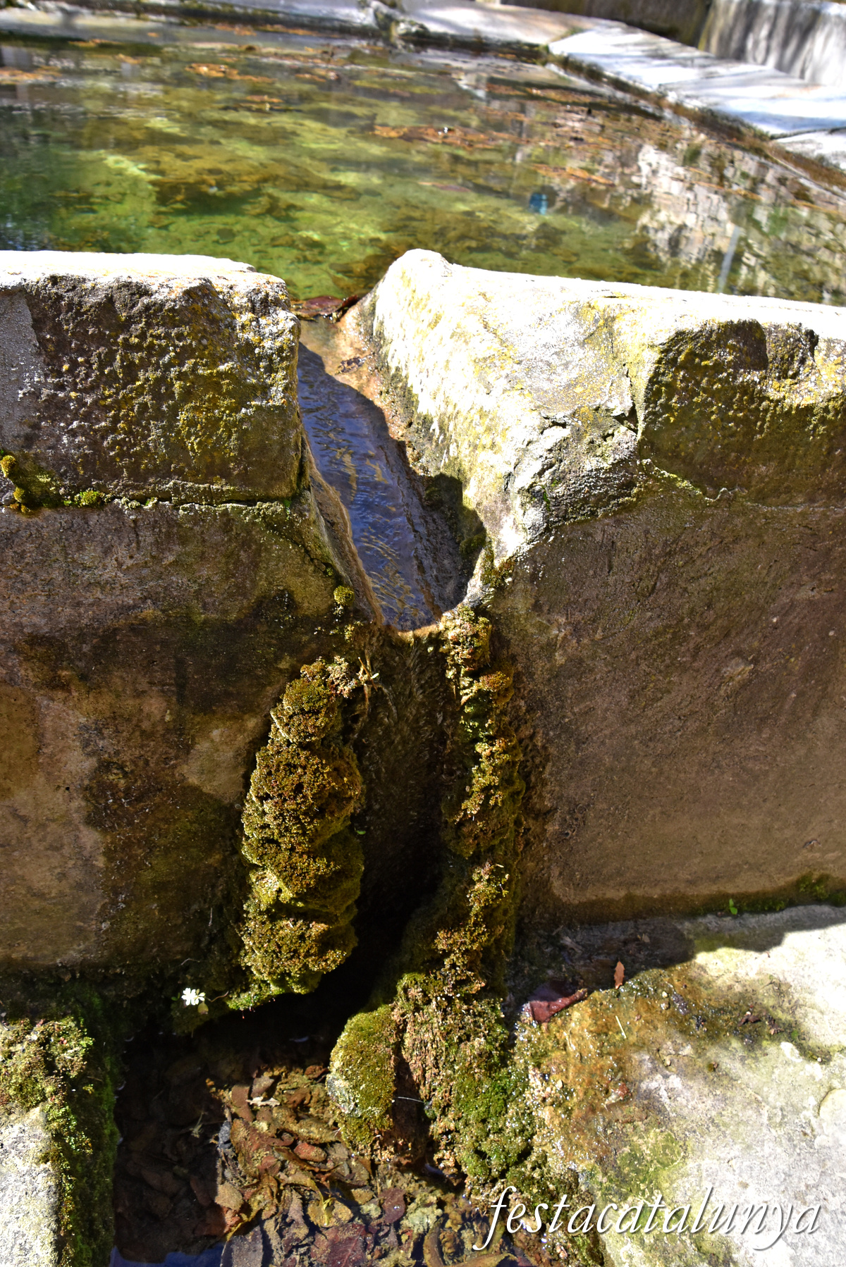 Montmaneu - La Font de Mussa 