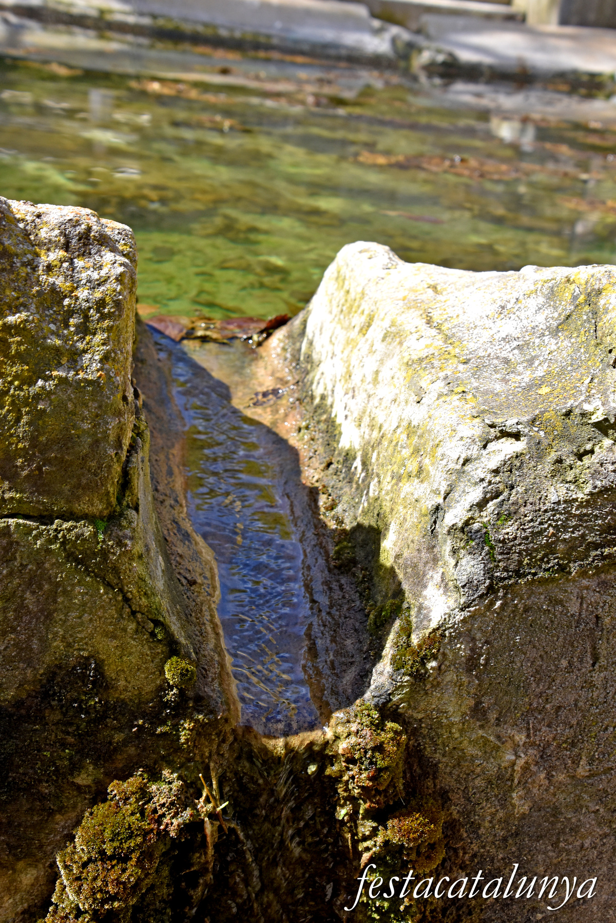 Montmaneu - La Font de Mussa 