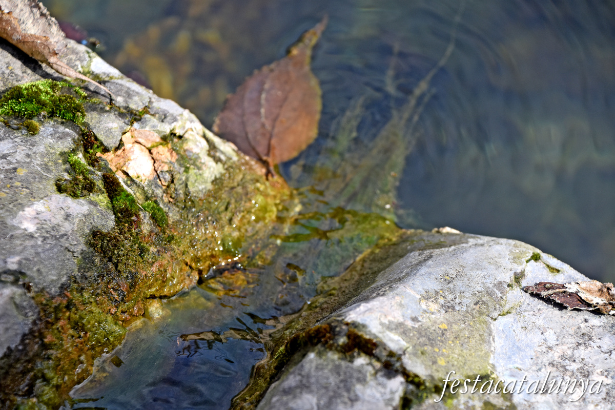 Montmaneu - La Font de Mussa