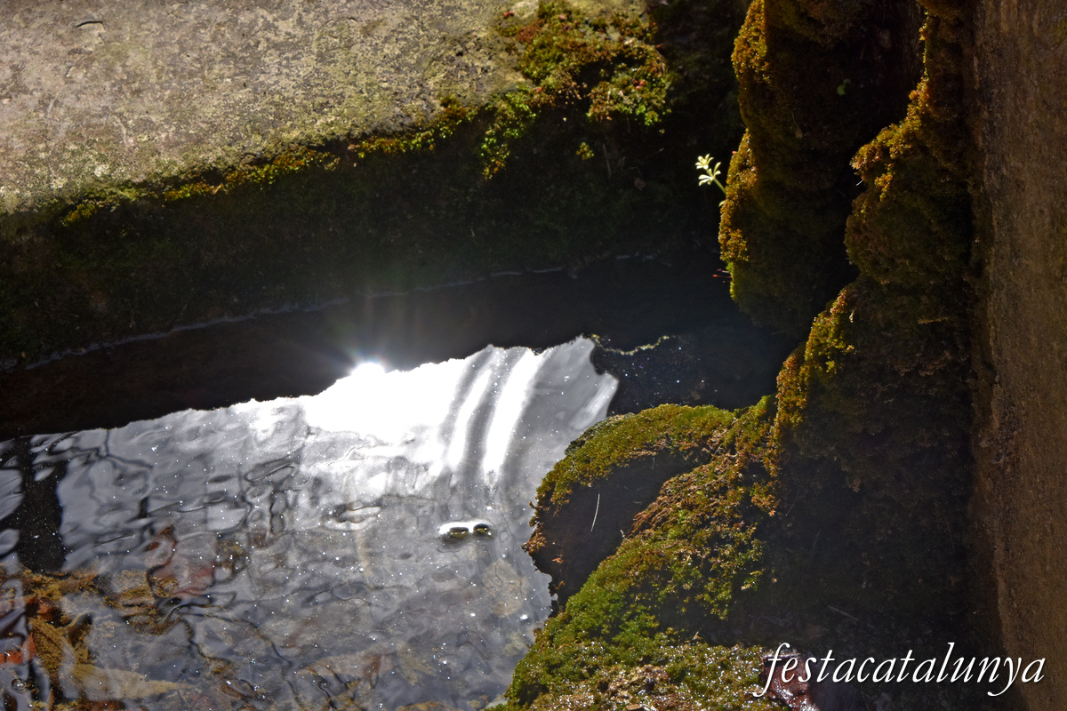 Montmaneu - La Font de Mussa 