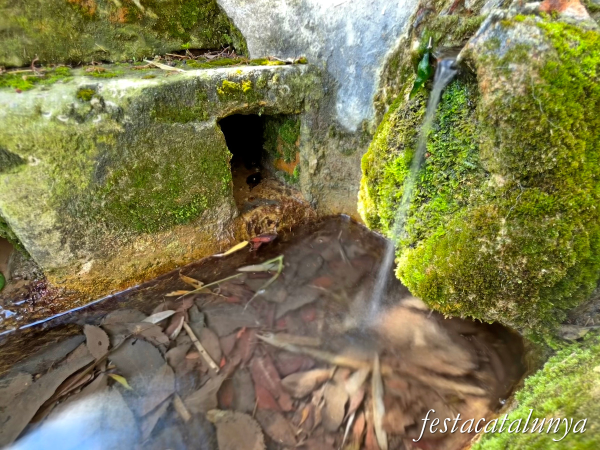 Montmaneu - La Font de Mussa 