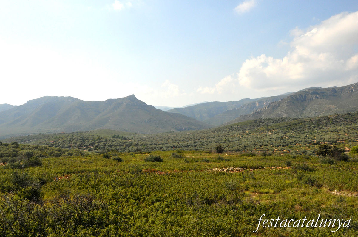 La Sénia - Oliveres mil·lenàries