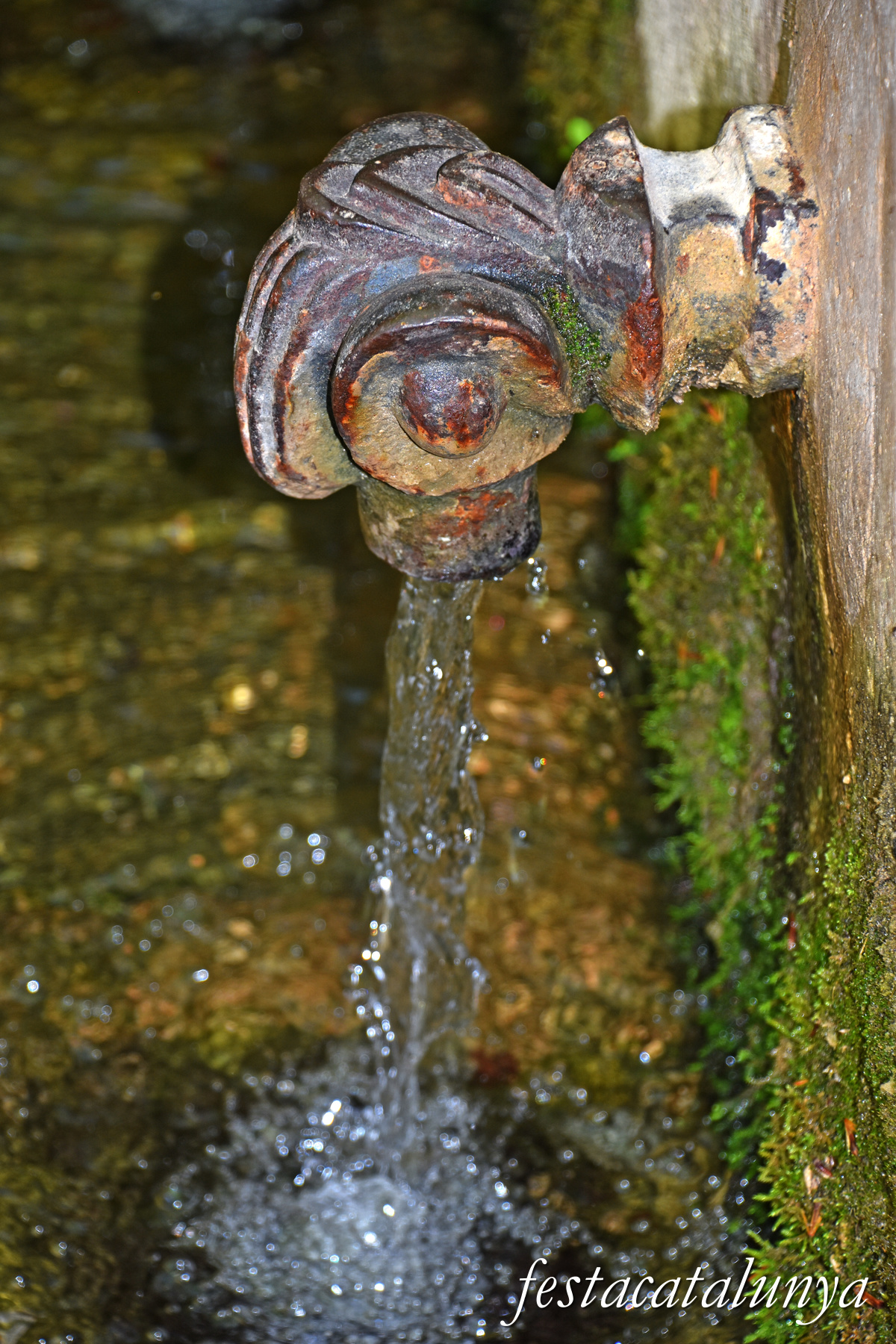Sant Julià de Vilatorta - Parc de les Set Fonts