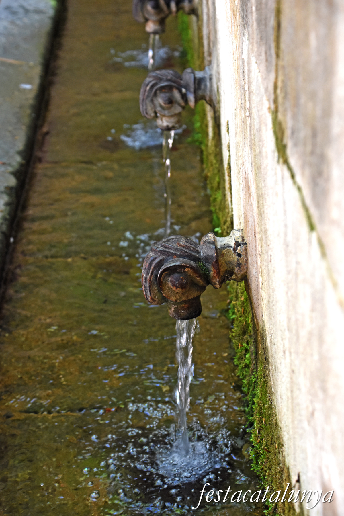 Sant Julià de Vilatorta - Parc de les Set Fonts