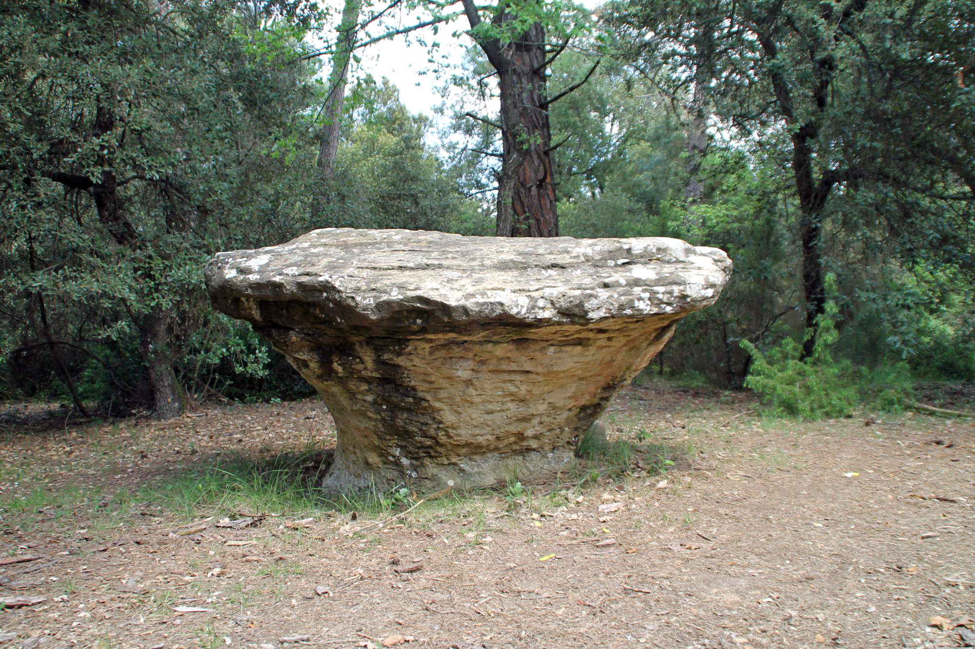 Sant Julià de Vilatorta - Roc del Bolet de Vilalleons (Foto: Mapa Patrimoni Diputació)