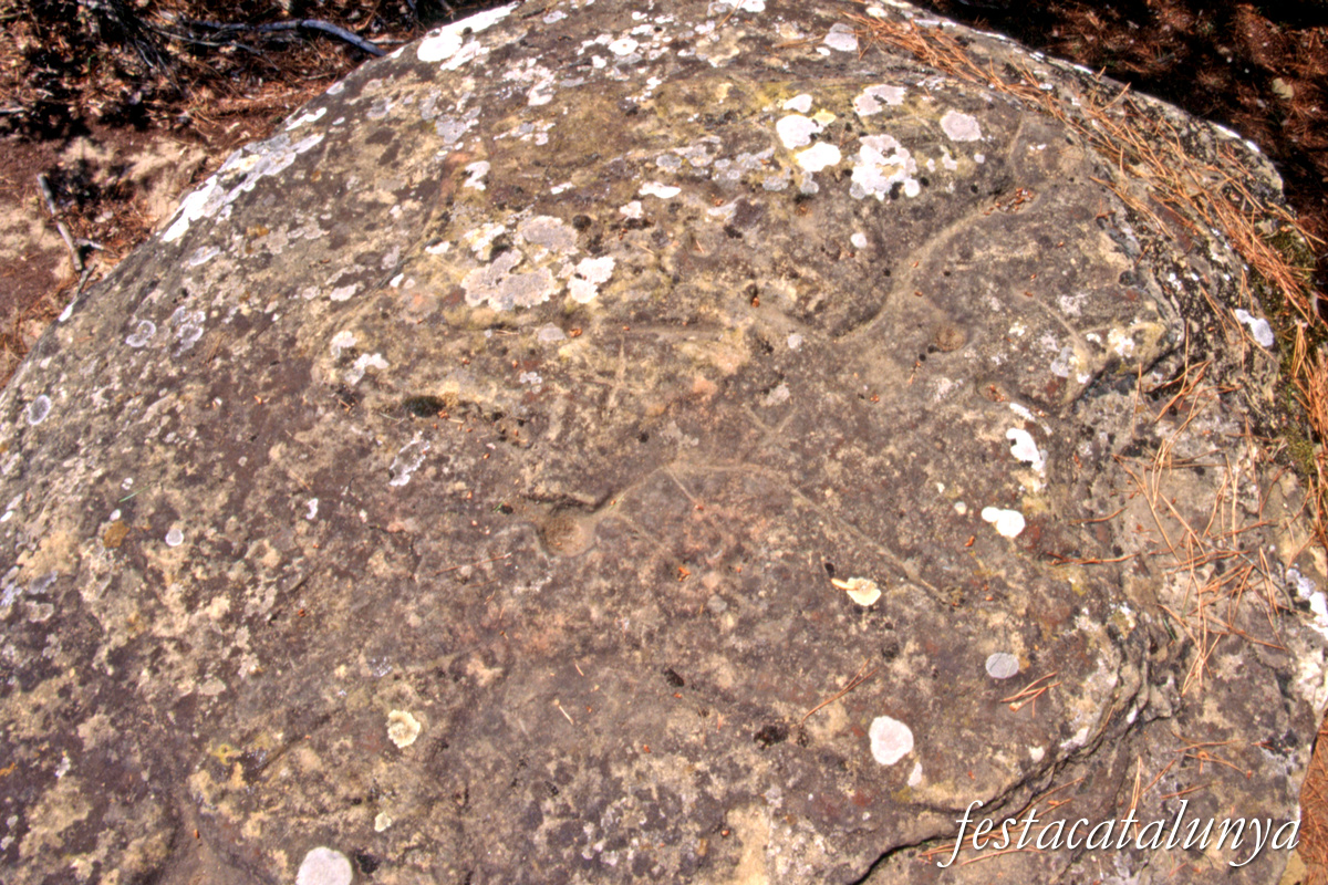 Sant Julià de Vilatorta - Roc del Bolet de Vilalleons