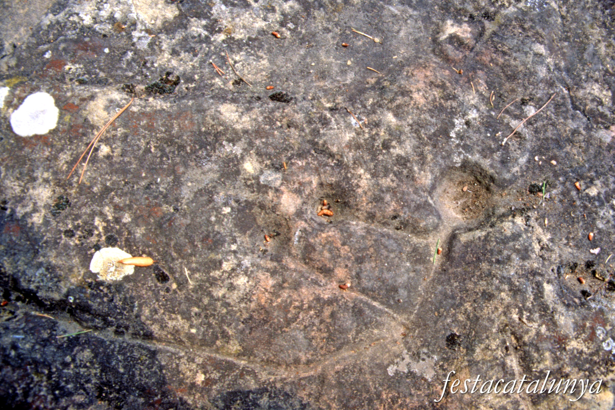 Sant Julià de Vilatorta - Roc del Bolet de Vilalleons