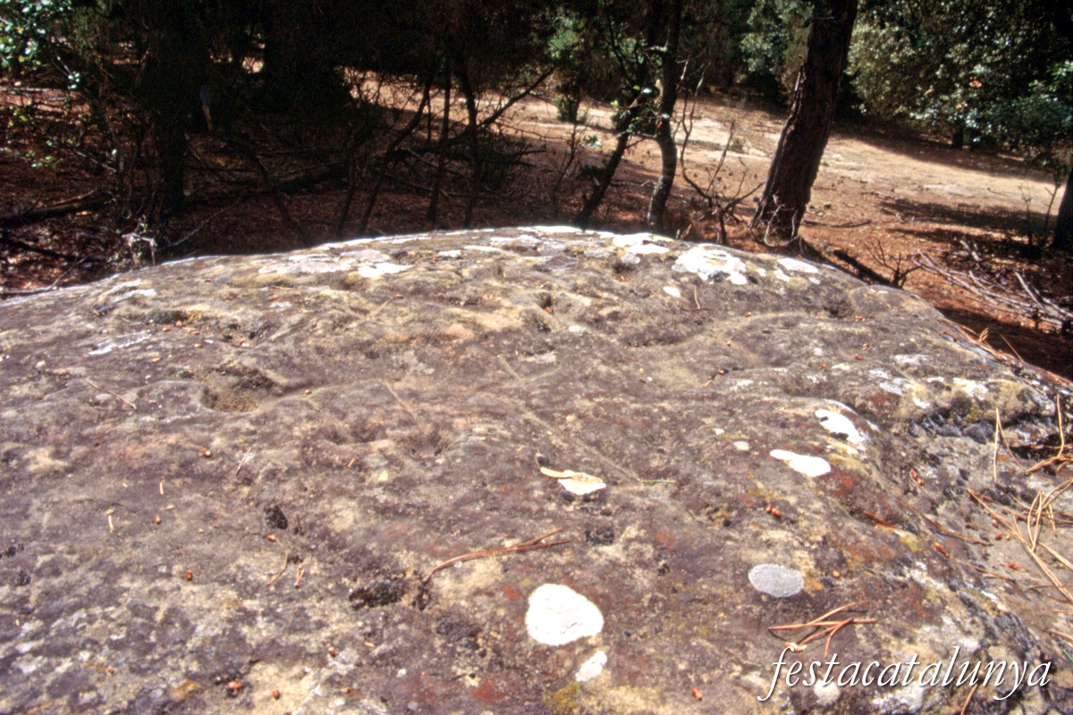 Sant Julià de Vilatorta - Roc del Bolet de Vilalleons 