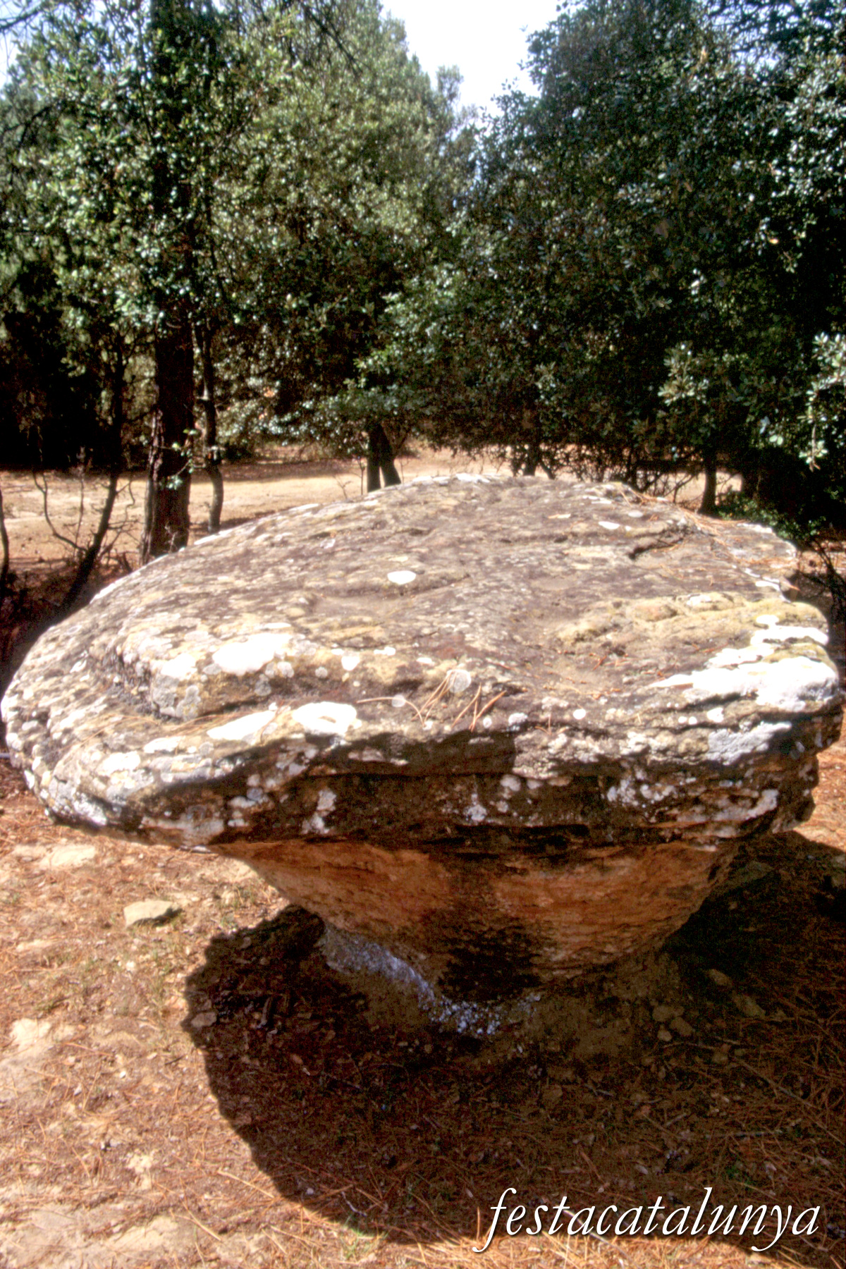 Sant Julià de Vilatorta - Roc del Bolet de Vilalleons 