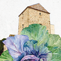 Festa Verda i de la Biodiversitat a Mollet del Vallès