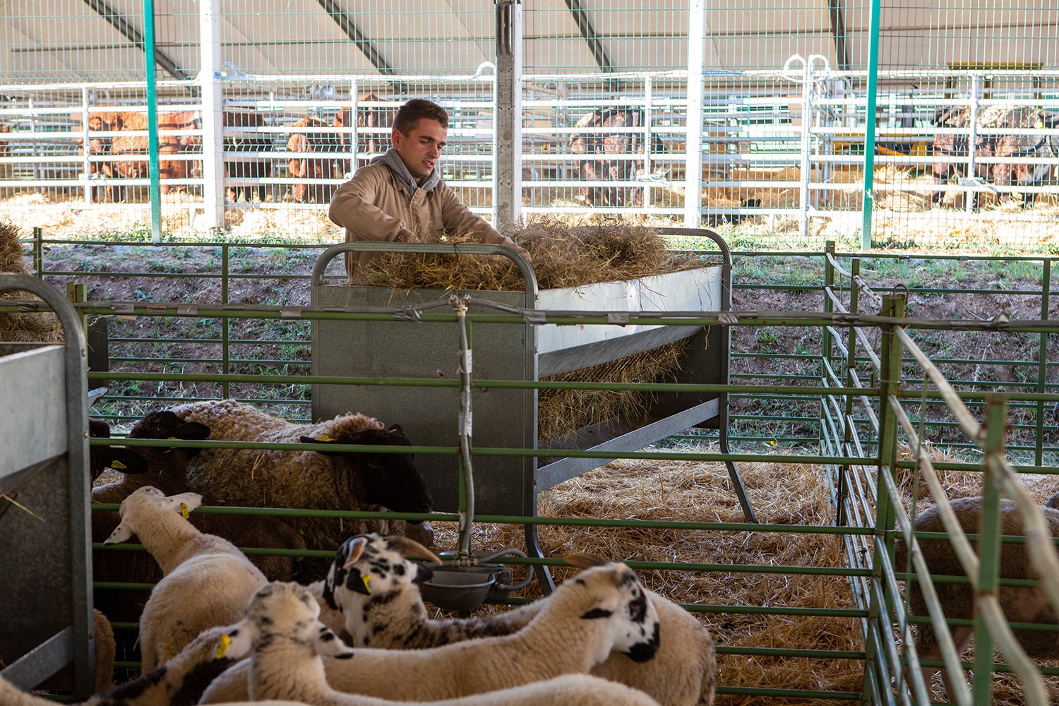 Fira de Sant Isidre de Solsona