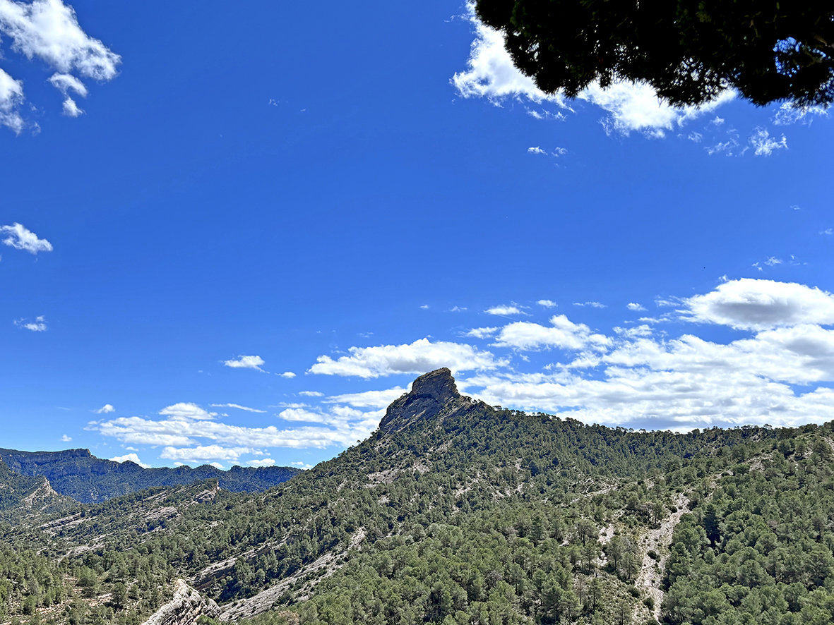 Vistes panoràmiques des de l'ermita de Sant Josep de Bot ***