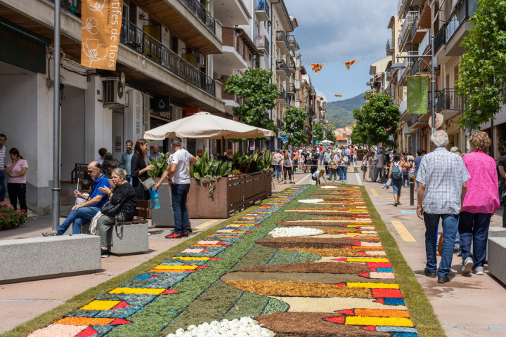 Catifes de Flors d'Arbúcies