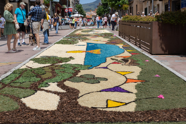 Catifes de Flors d'Arbúcies